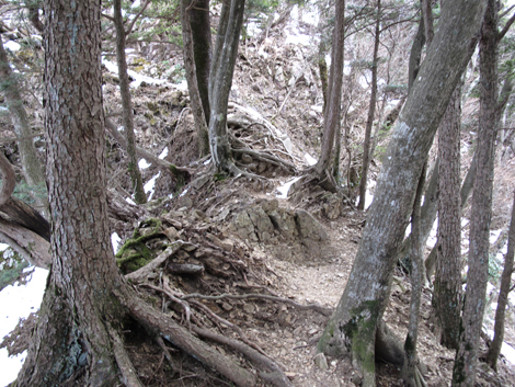 20170113hike (268)